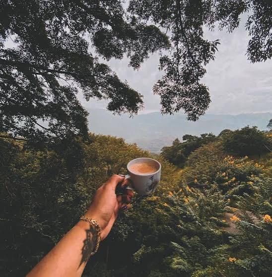 Mountain landscape where coffee grows