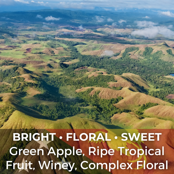 Papua New Guinea Arufa Natural Grade A — photo published by The Captain's Coffee