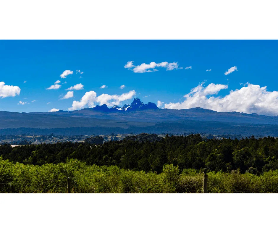 Kenya Green Coffee Beans Select Plus AA — photo published by Roastika
