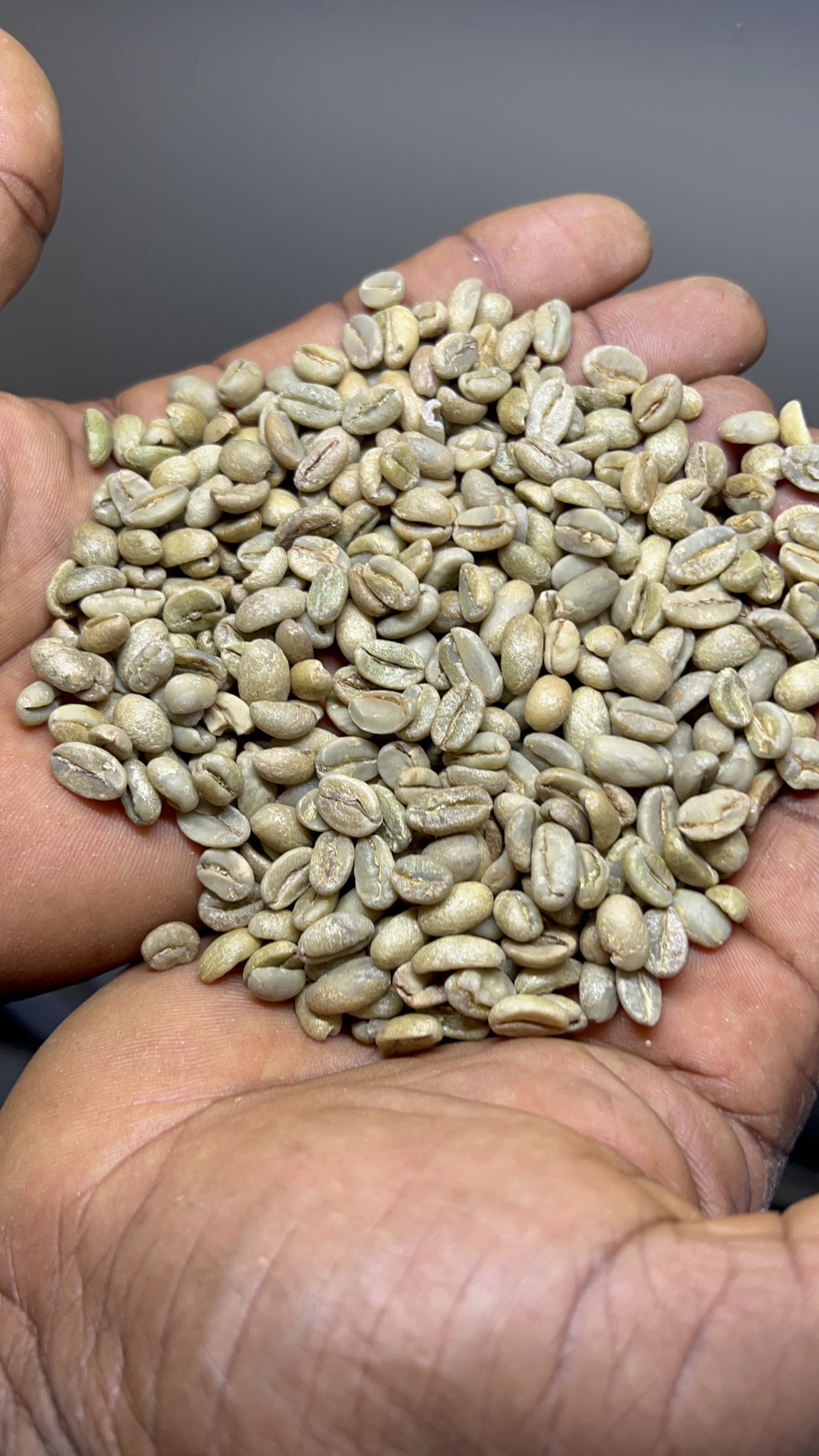 Nekempte grade 5 — photo published by Fantahun Bayable Import and Export