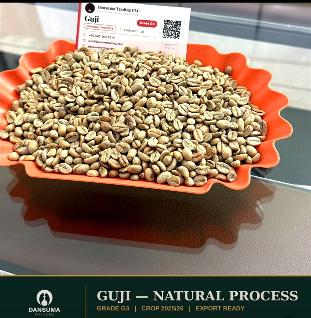 Ethiopian Arabica  Natural Guji Grade 3 — photo published by Bethelhem Solomon