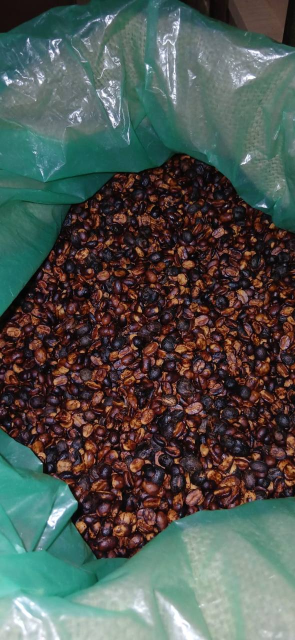 Green Coffee - Yellow Catuai - Black Honey — photo published by Salot coffee